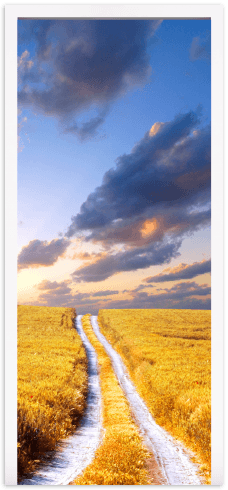 Stickers muraux: Porte de la route et champ de blé