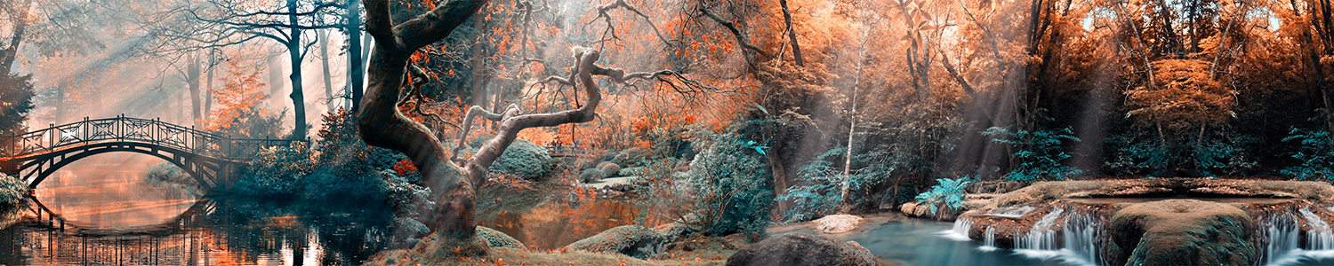 Poster xxl: For&ecirc;t et pont en automne