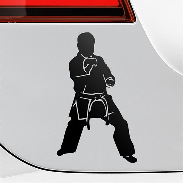 Autocollants: Combattant de taekwondo