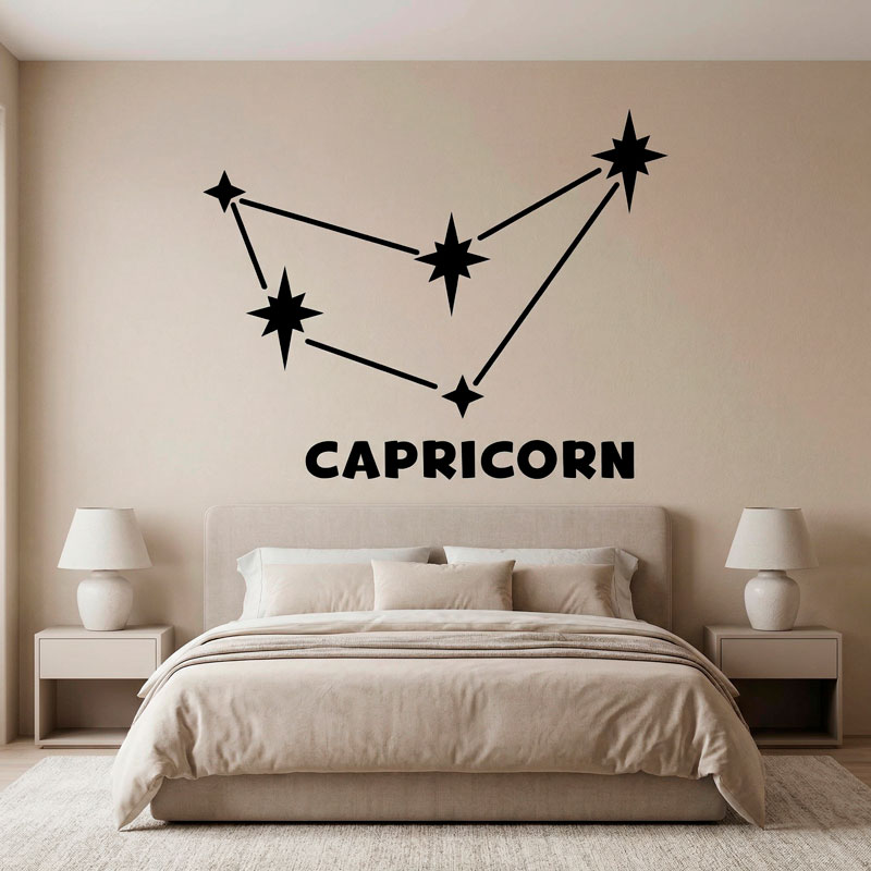 Constellation Capricorne 2/9