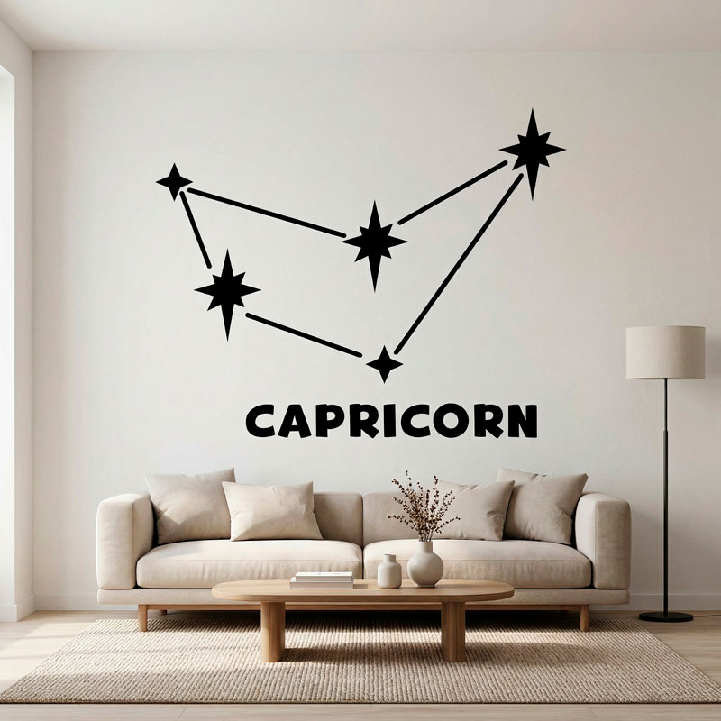 Constellation Capricorne 3/9