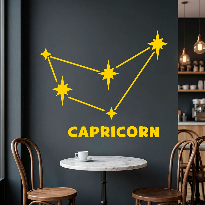 Constellation Capricorne 5/9