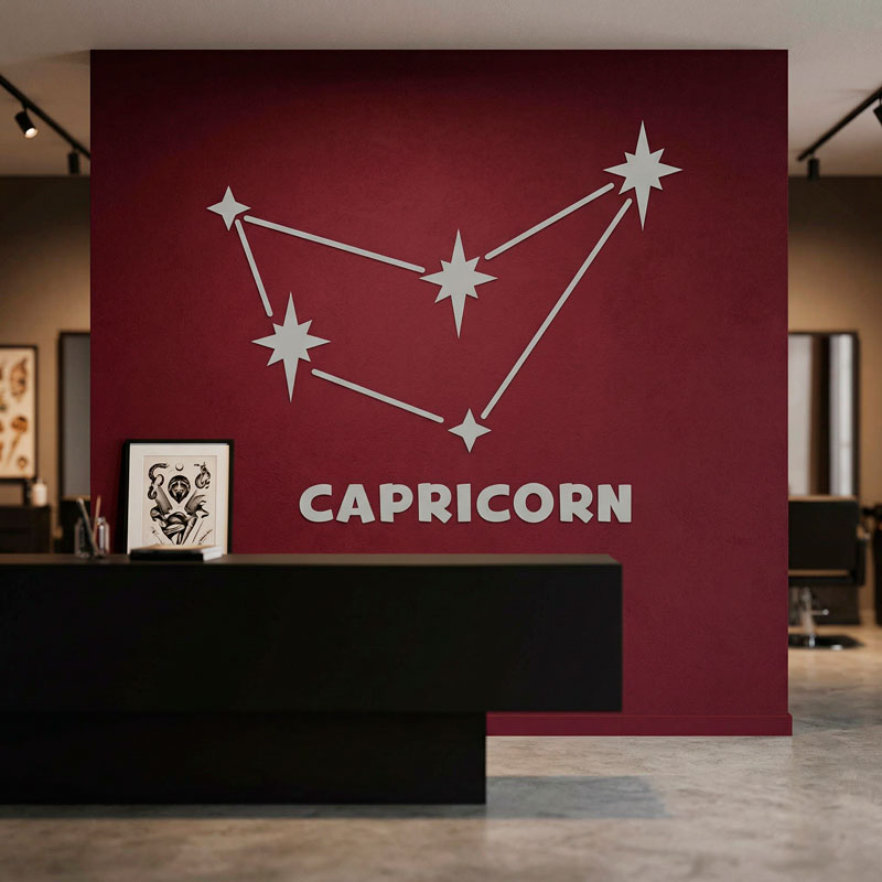 Constellation Capricorne 6/9