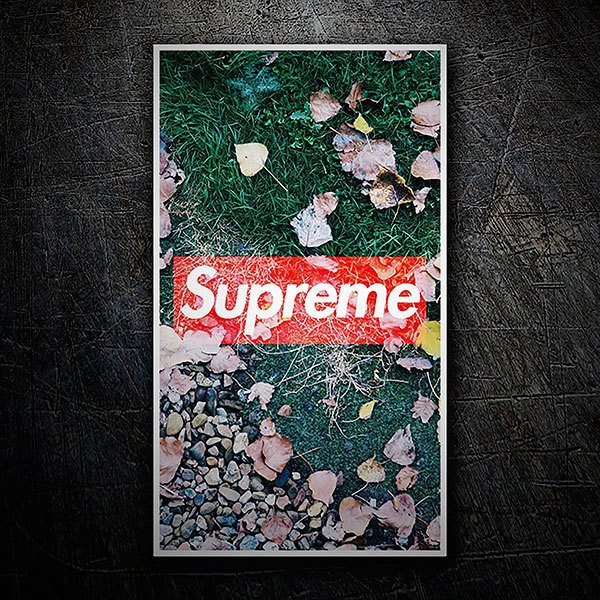 Autocollants: Supreme chuter