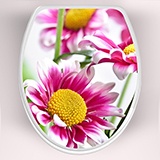 Stickers muraux: couvercle wc fleurs roses 3