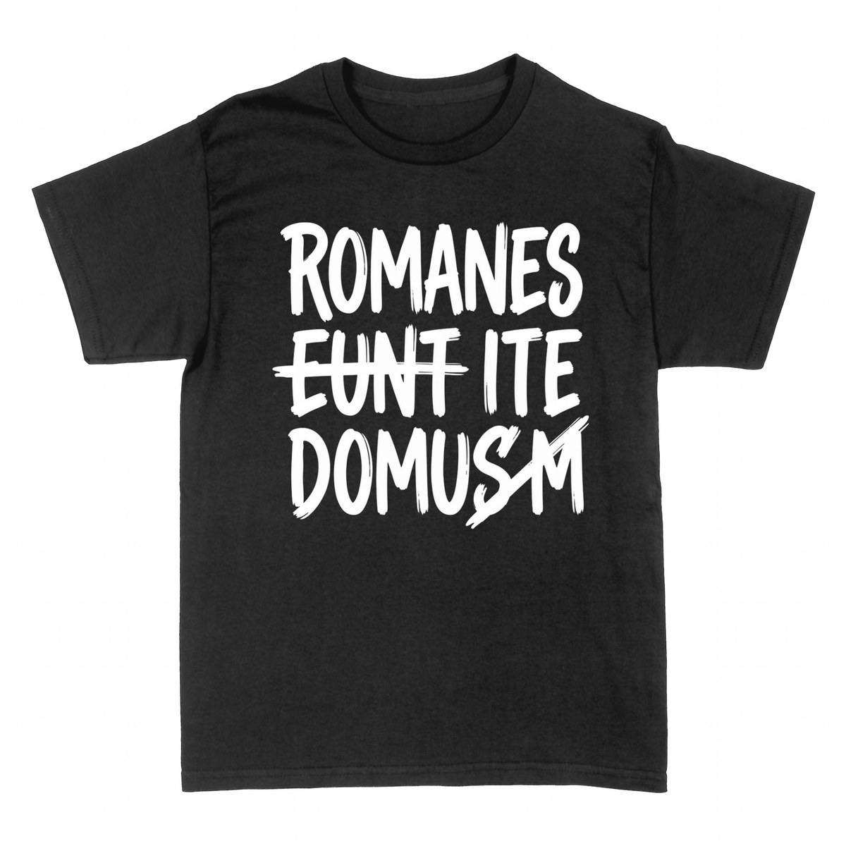 T-shirts: Romanes Eunt Domusm &mdash; Humour Latin Culte