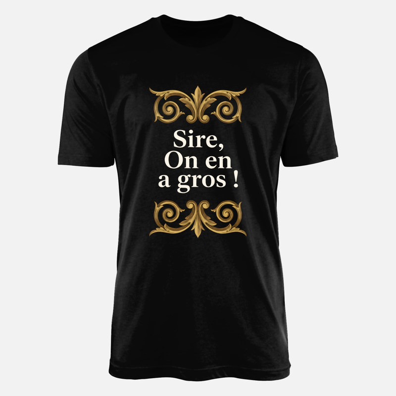 T-shirts: Sire, on en a gros