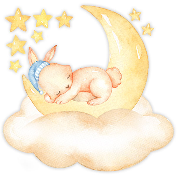 Autocollant bébés animaux dorment sur la lune avec nom