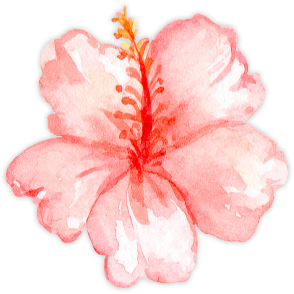 Sticker mural enfant Aquarelle Hibiscus | WebStickersMuraux.com