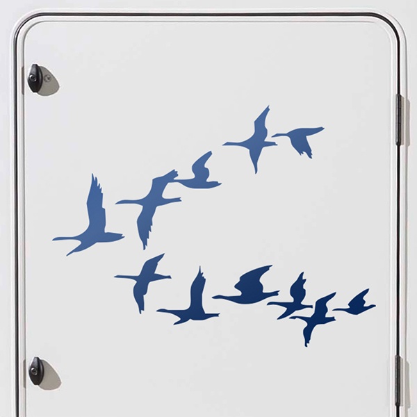Stickers camping-car: Migration des oiseaux