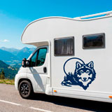 Stickers camping-car: Loup dans la for&ecirc;t 19