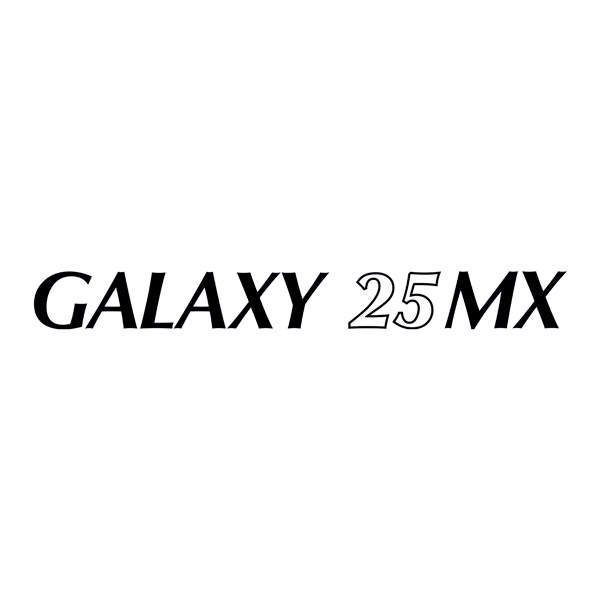 Stickers camping-car: Autocollant Pilote Galaxy 25MX